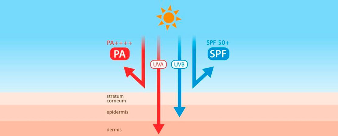 PA (Protection Grade of UVA) Nedir? Güneş Koruma Derecelendirme Sistemi Hakkında Kapsamlı Bir Rehber