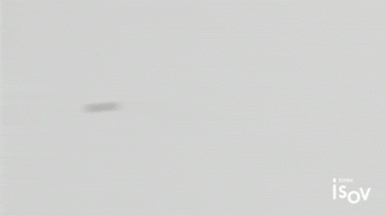 pH BALANCE TONING LOTION 1000ml