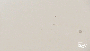 VITA C 25 AMPOULE 10mlx5ea