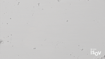 BRIGHTENING BOOSTER AMPOULE 2ml×20ea